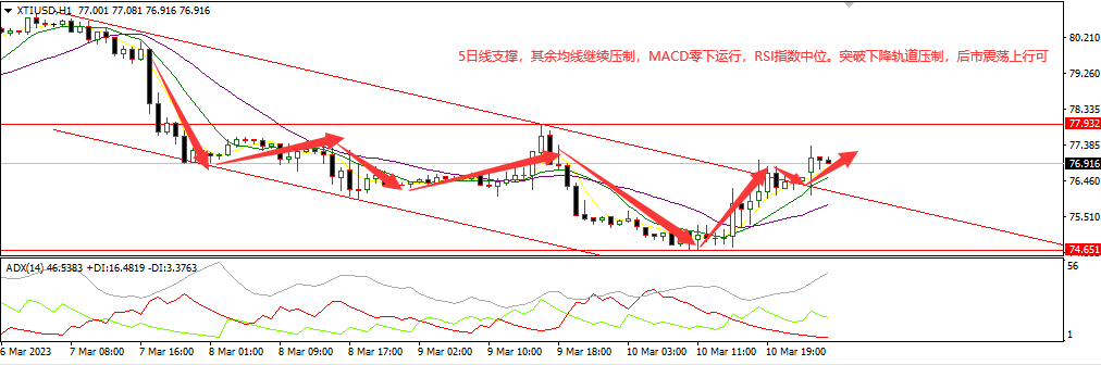 美油(1).png