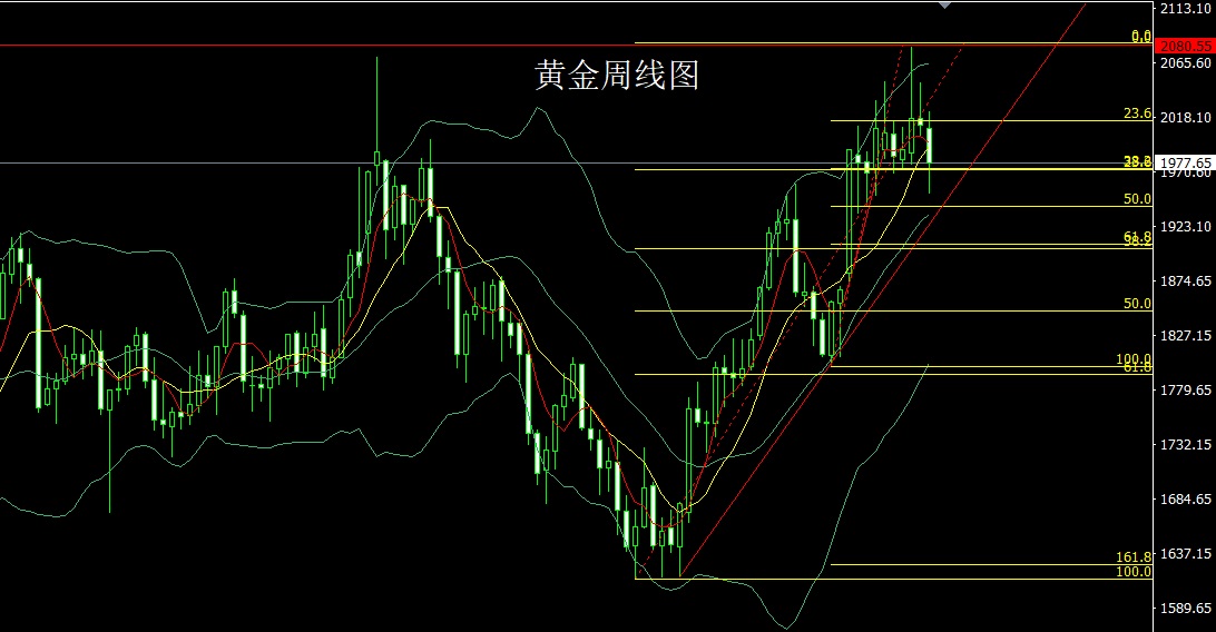 5.22黄金早.jpg