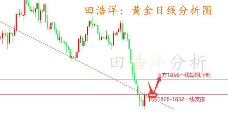 黄金_副本.png