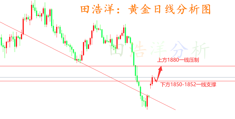 黄金_副本.png