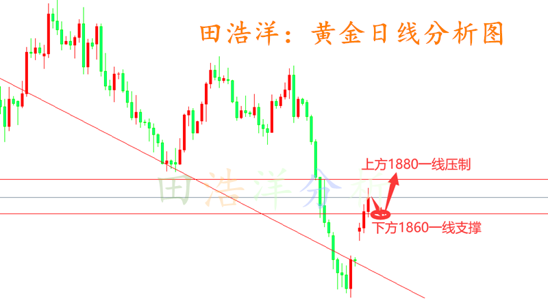 黄金_副本.png