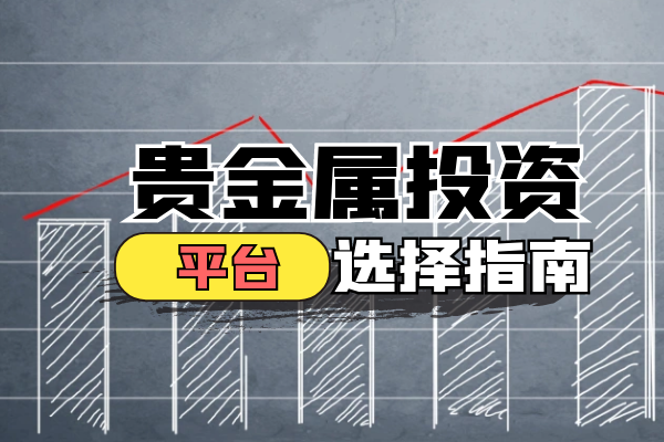 贵金属投资平台选择指南.png