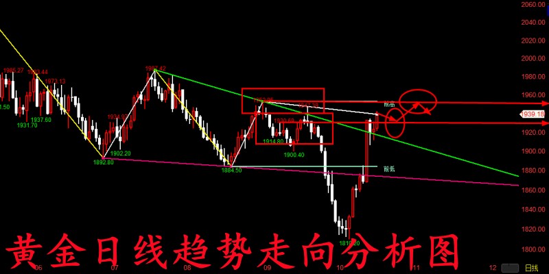 QQ图片20231018130508.jpg