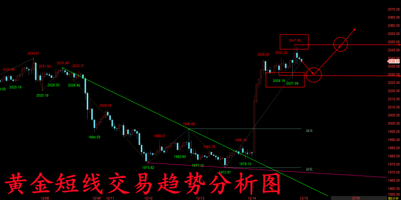 QQ图片20231215010857.png