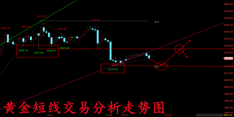QQ图片20231218183728.png