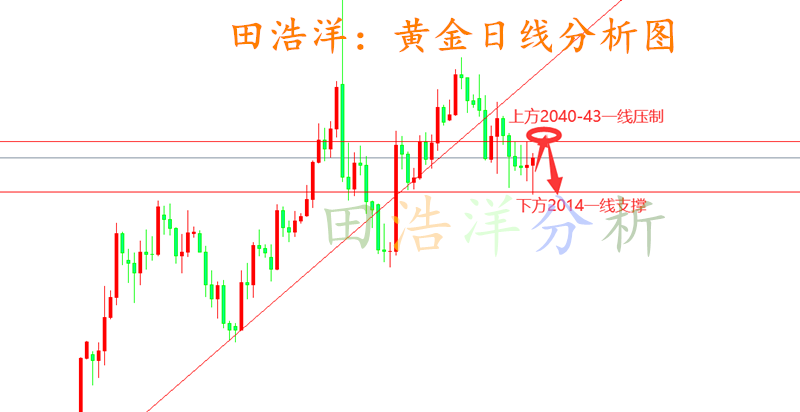 黄金_副本.png