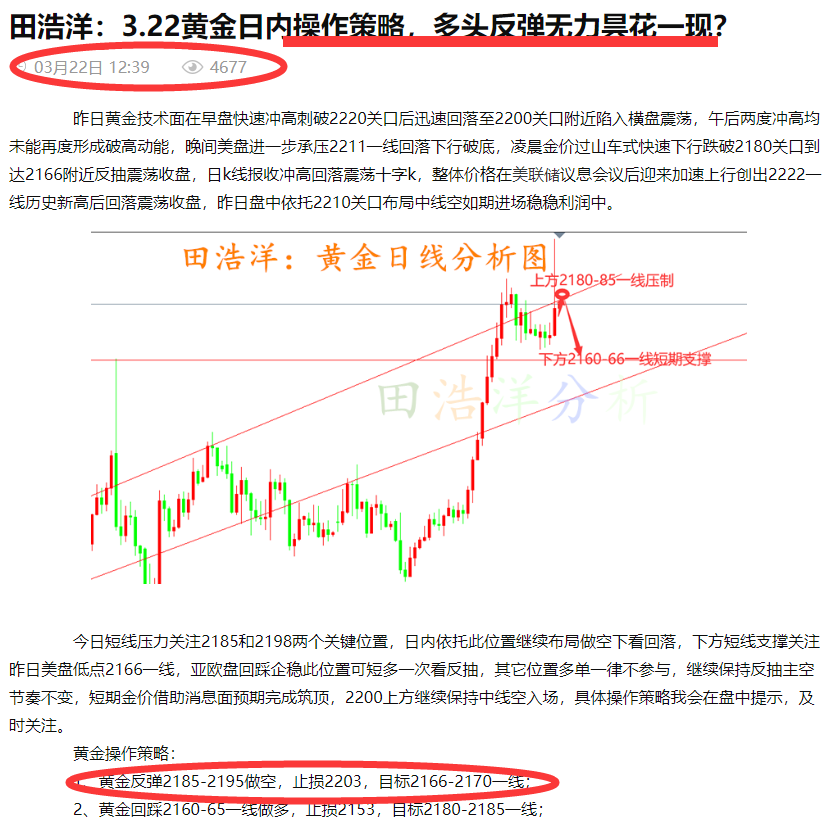 黄金分析.png