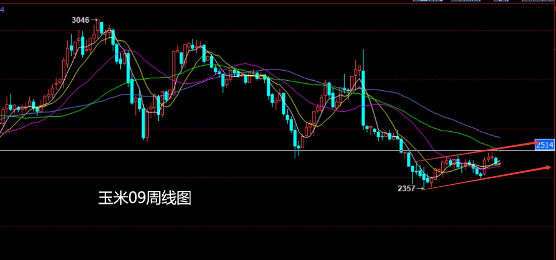 玉米.jpg