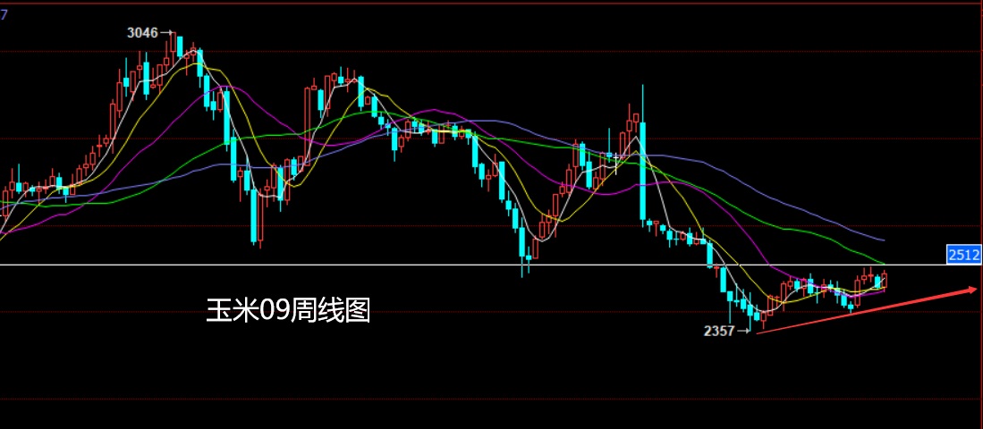 玉米.jpg