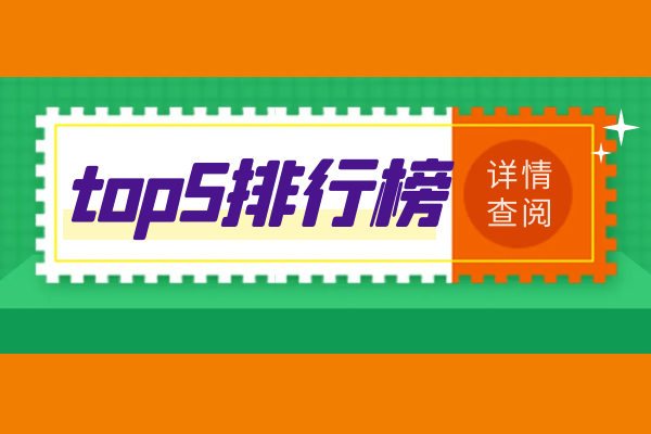 top5排行榜信息详情.png