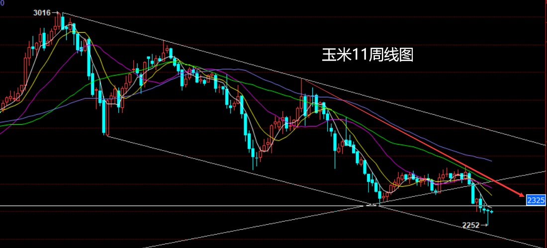 玉米.jpg