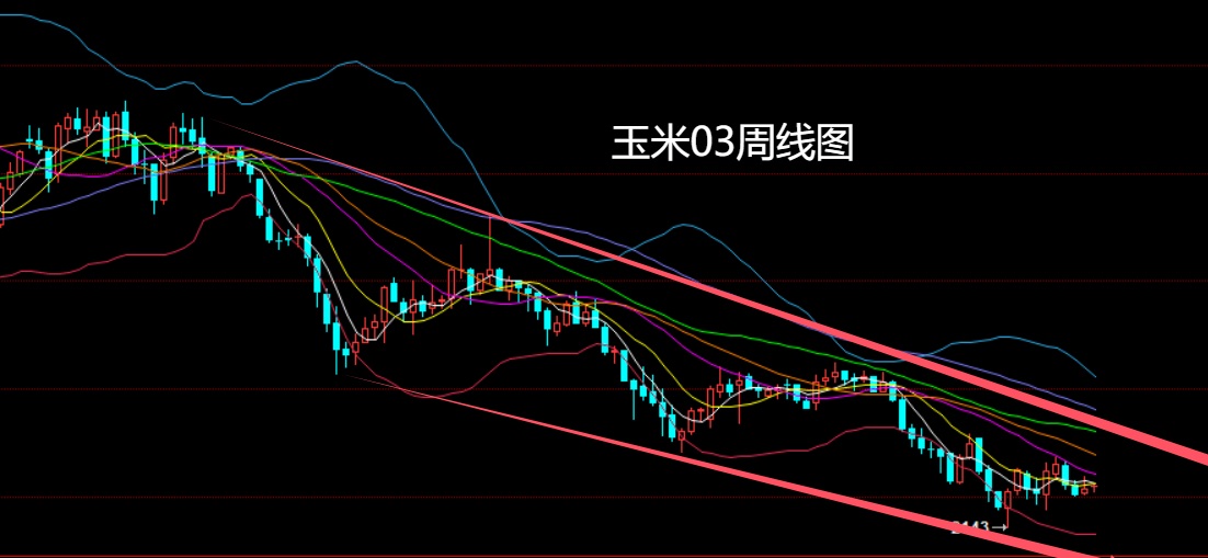 玉米.jpg