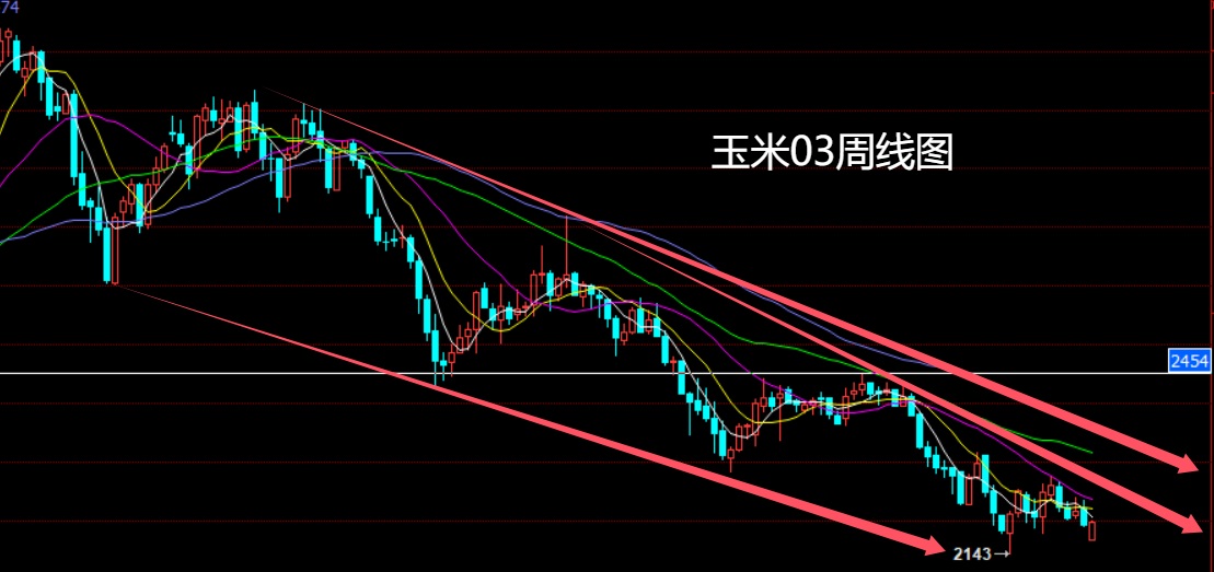 玉米.jpg
