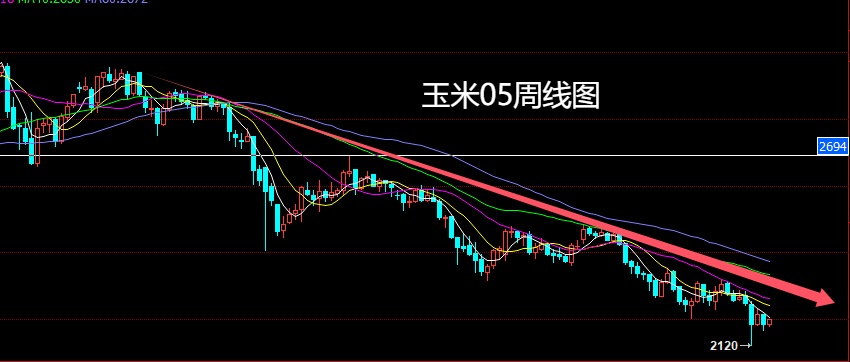 玉米.jpg