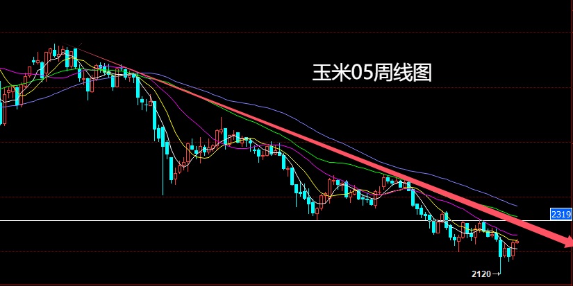 玉米.jpg