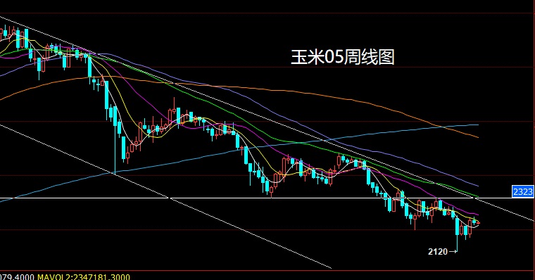 玉米.jpg