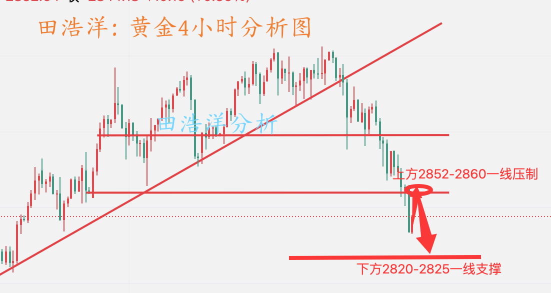 黄金分析_副本.png