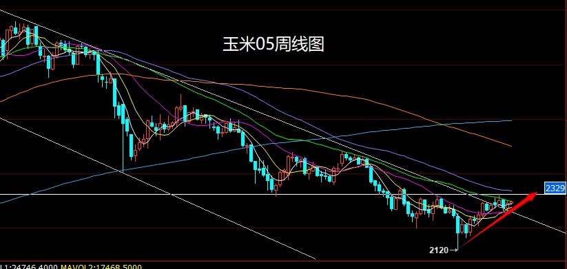 玉米.jpg