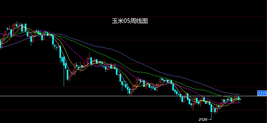 玉米.jpg