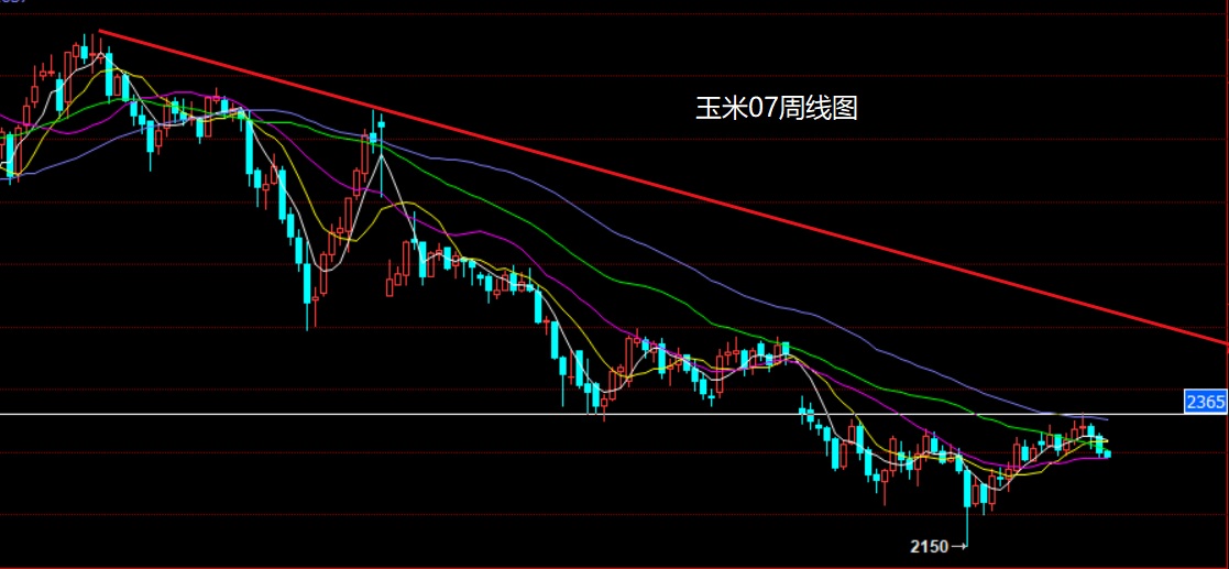 玉米.jpg