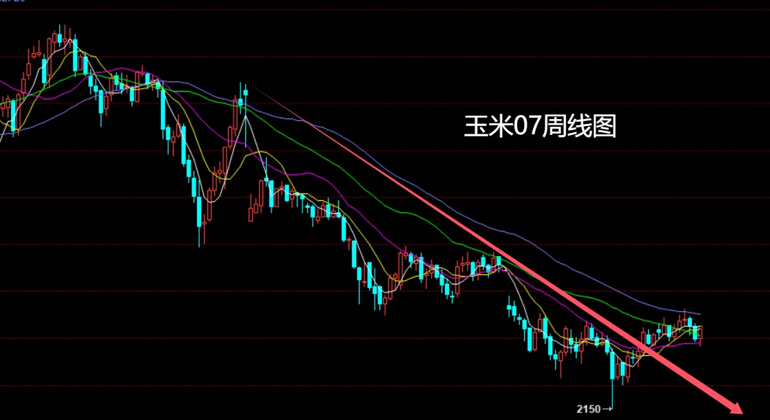 玉米.jpg