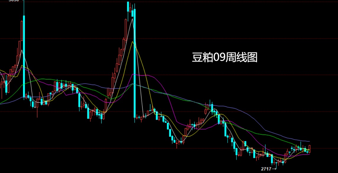 豆粕.jpg