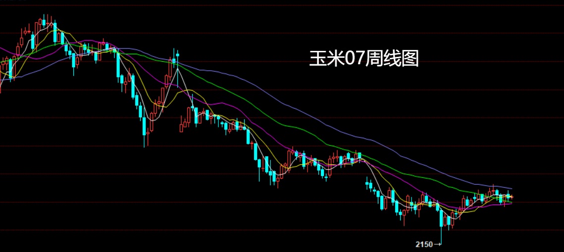 玉米.jpg