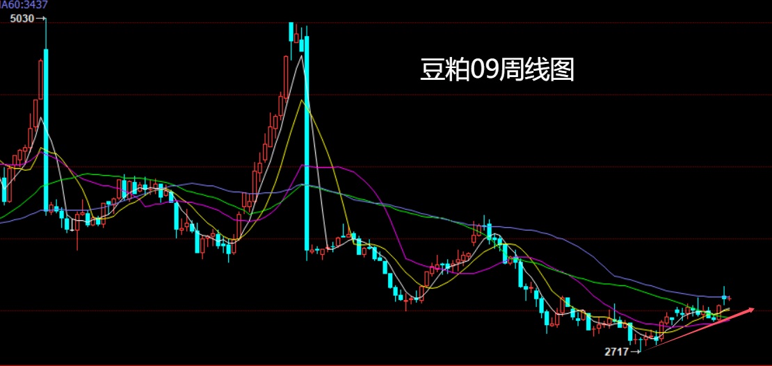 豆粕.jpg