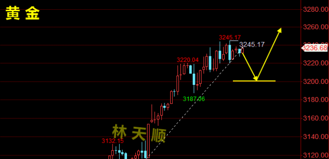 黄金周评.png
