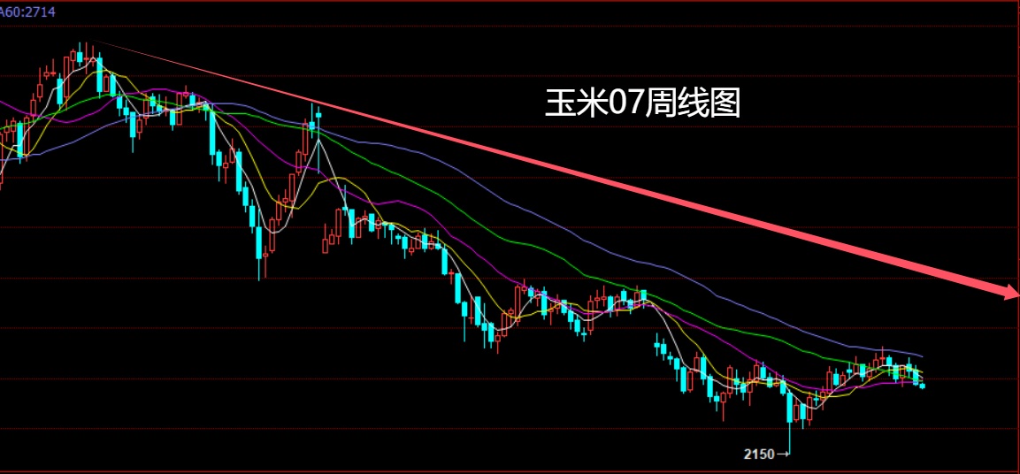 玉米.jpg