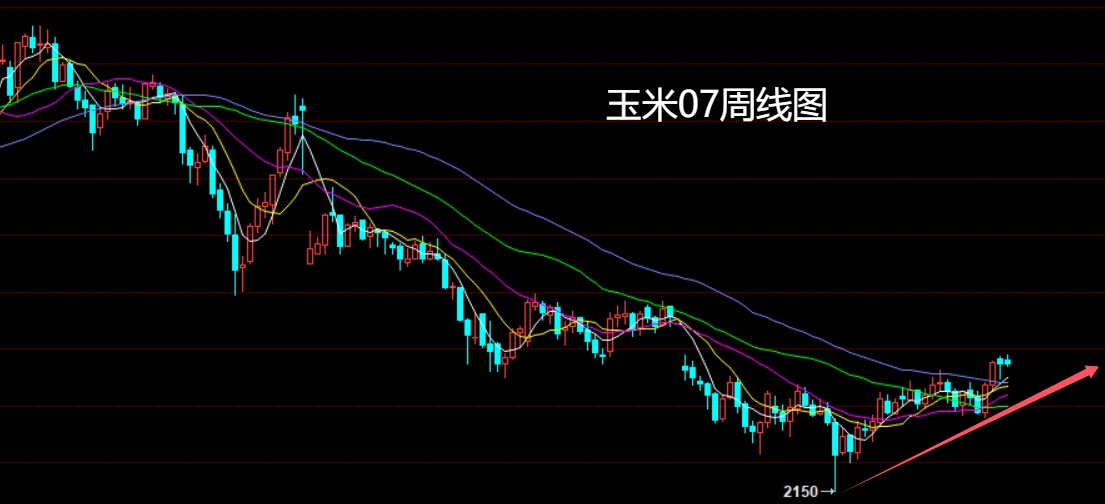 玉米.jpg