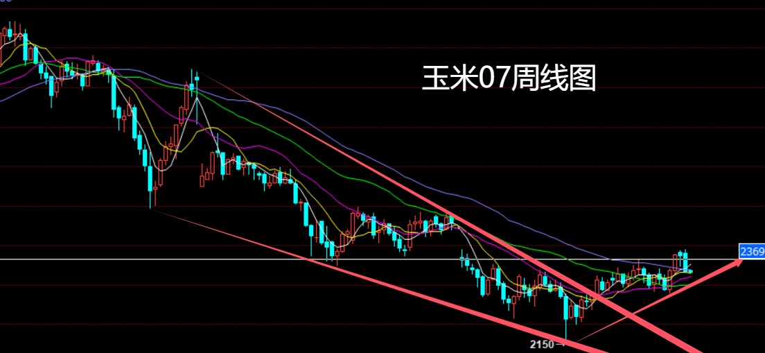 玉米.jpg