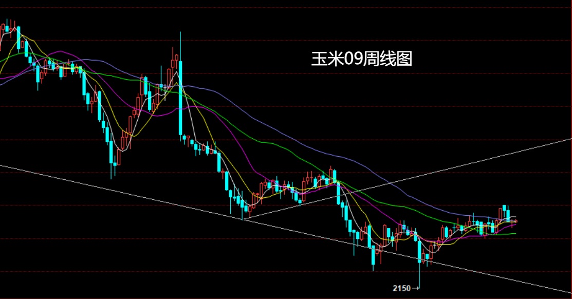 玉米.jpg
