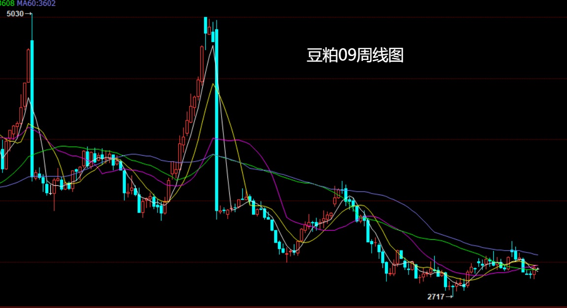 豆粕.jpg