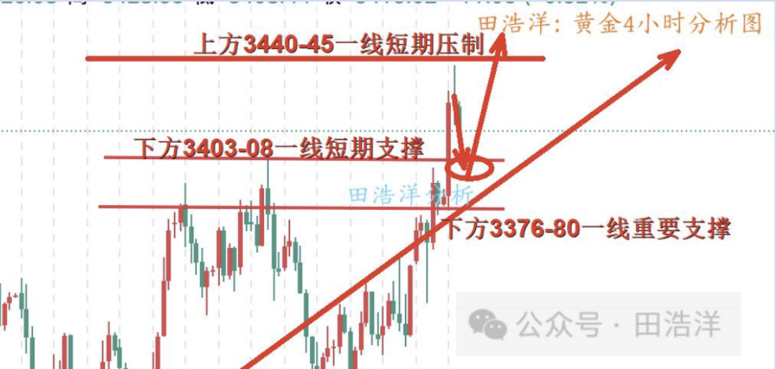 ****公众号.jpg