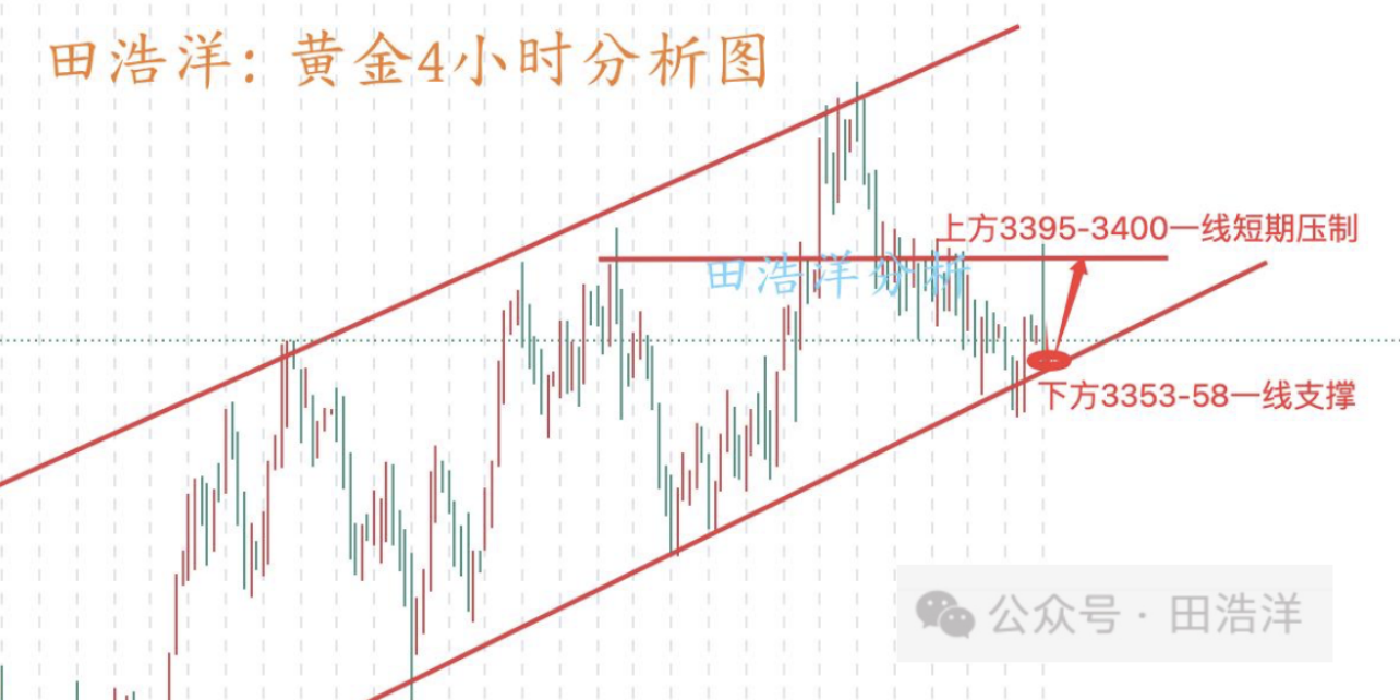 ****公众号.jpg