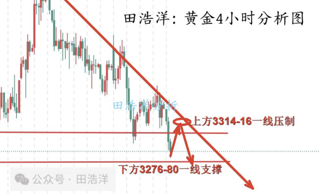 ****公众号.jpg