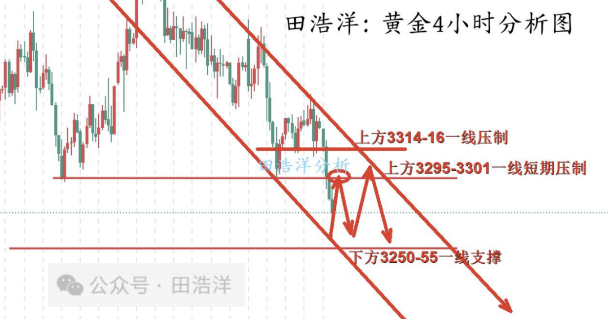 ****公众号.jpg