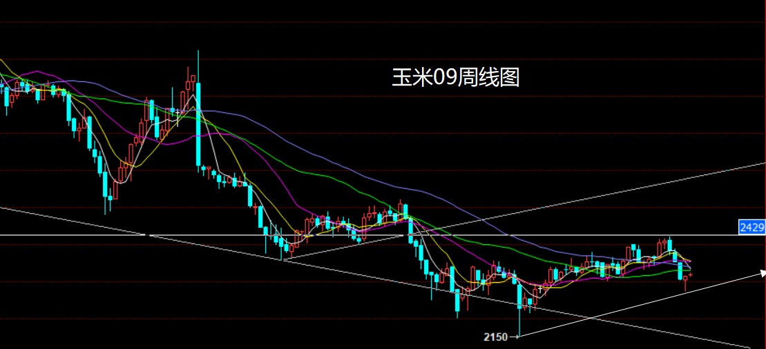 玉米.jpg