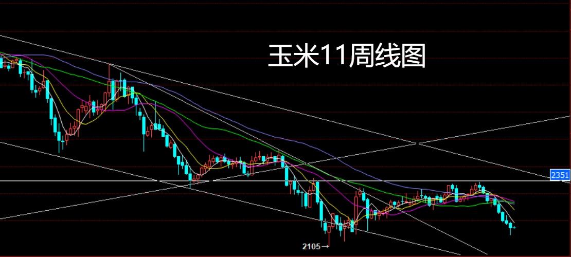 玉米.jpg