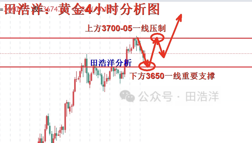 黄金4小时分析号.jpg