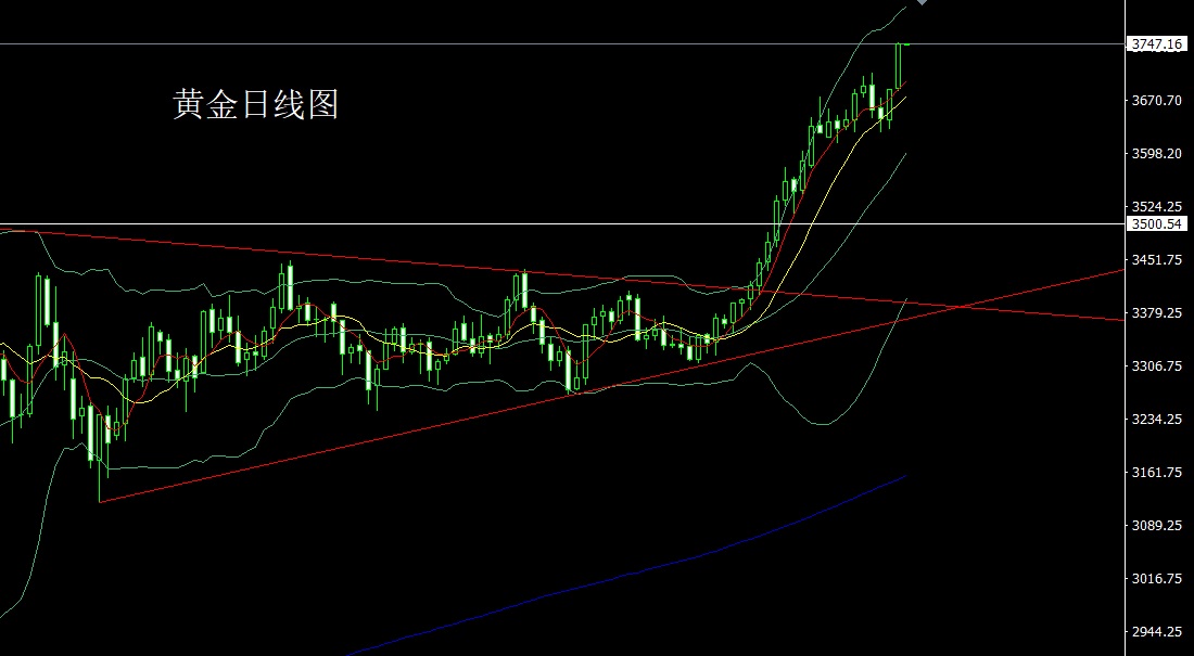 黄金.jpg