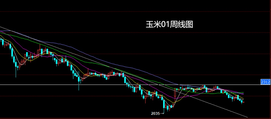 玉米.jpg