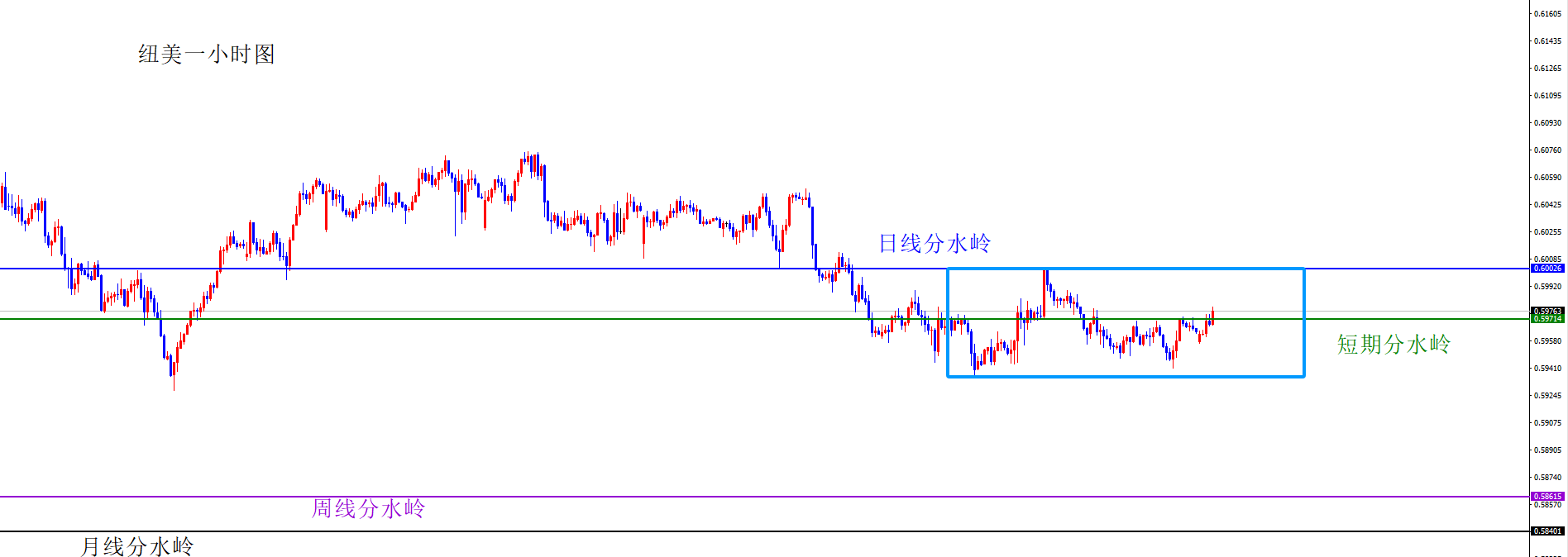 1771989698494443.png 纽美.png