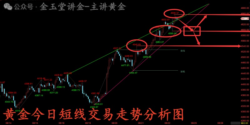 1787548925109925.jpg 1787547786719_副本.jpg