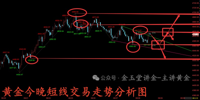 1787906981376210.jpg 1787906412978_副本.jpg