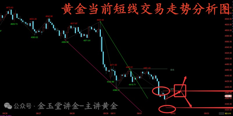 1788278141137086.jpg 1788272904537_副本.jpg