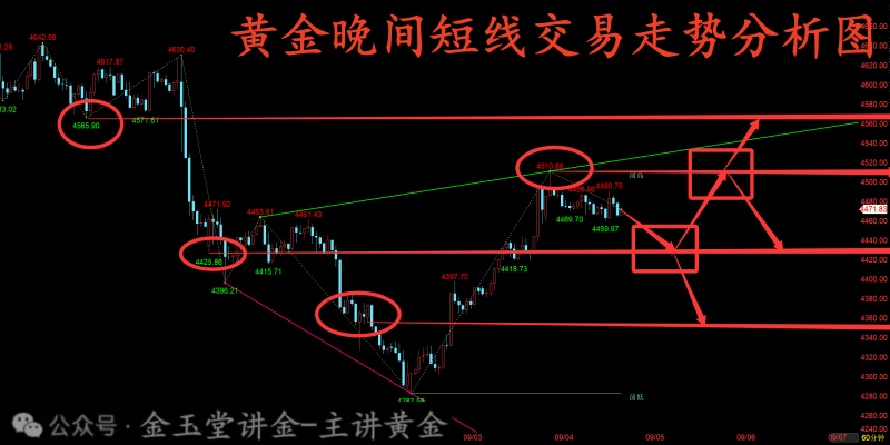 1788519702823583.jpg 1788519109642_副本.jpg