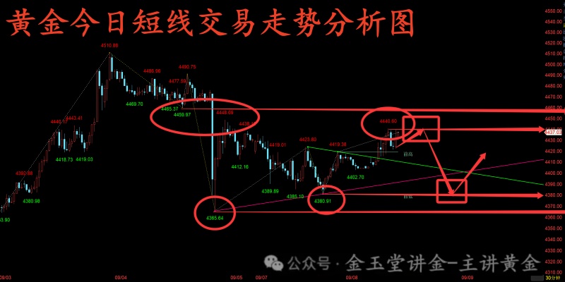 1788840952464800.jpg 1788839998896_副本.jpg