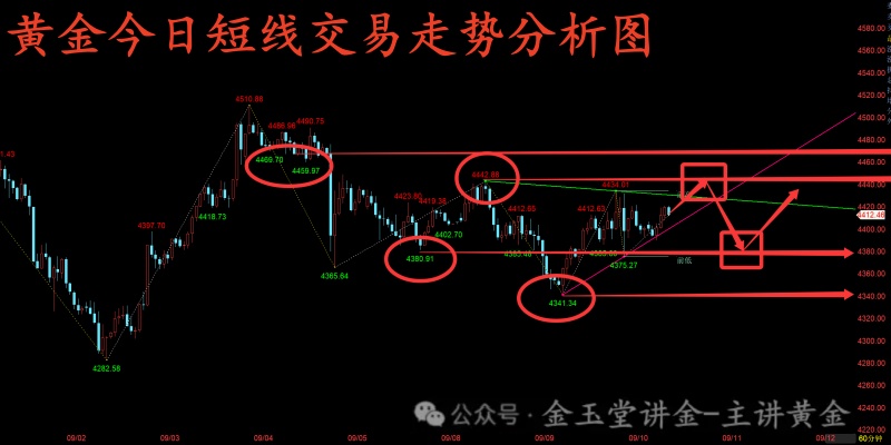 1789010549693_副本.jpg